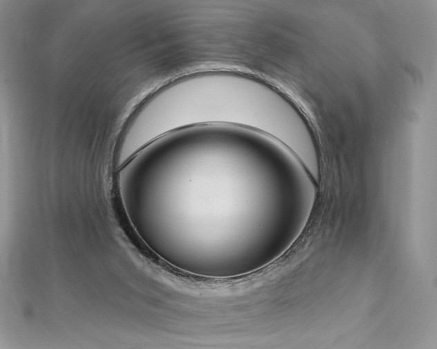 X0000113180015200909041353