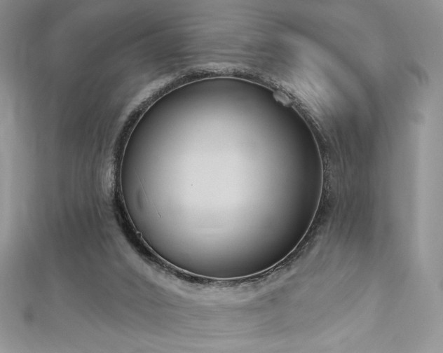X0000113180016200909041353