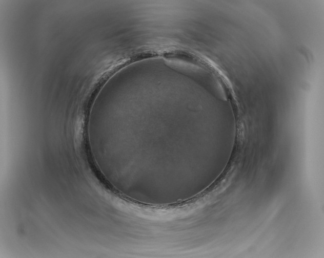 X0000113180018200909041353