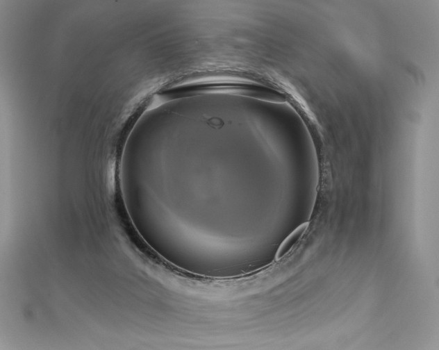 X0000113180019200909041353