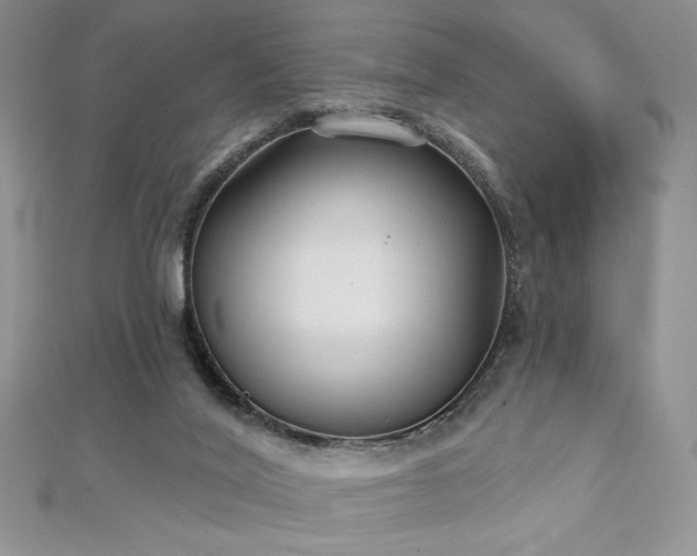 X0000113180020200909041353