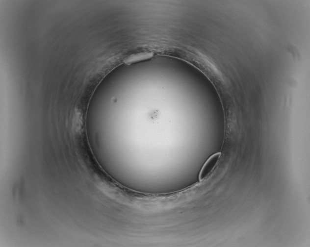 X0000113180025200909041353