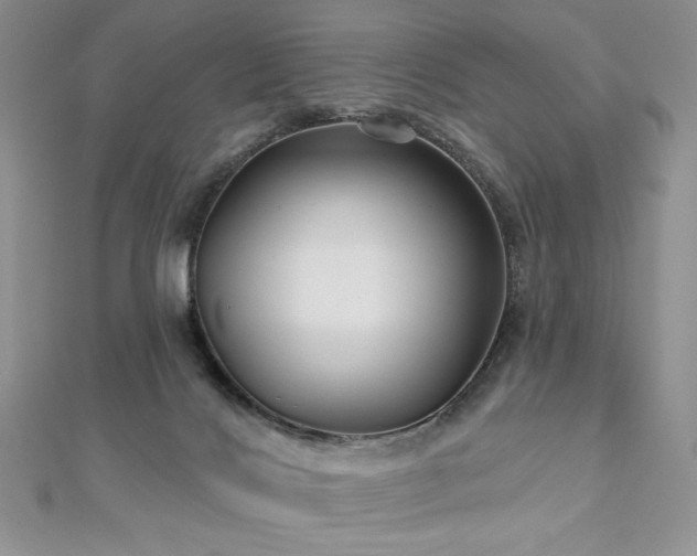 X0000113180028200909041353