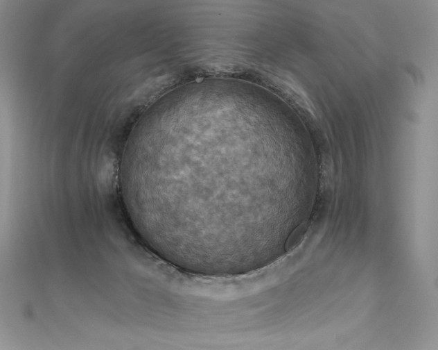 X0000113180029200909041353