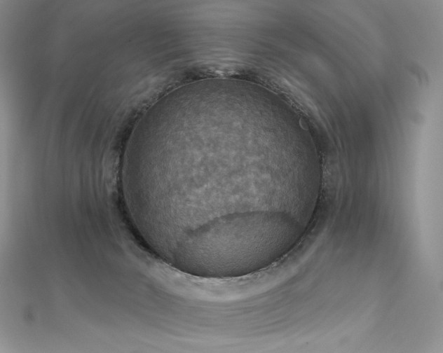 X0000113180030200909041353