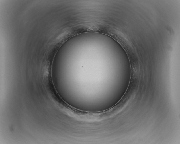 X0000113180032200909041352