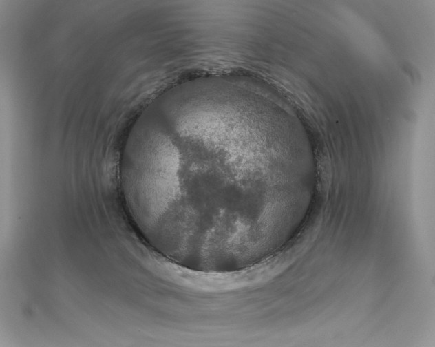 X0000113180034200909041352