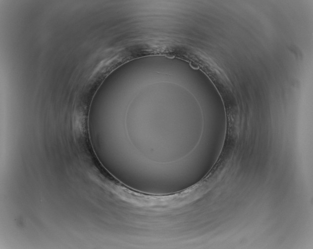 X0000113180035200909041352