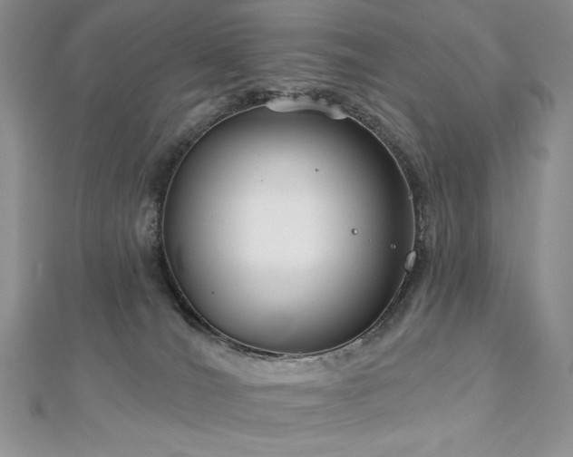 X0000113180036200909041352