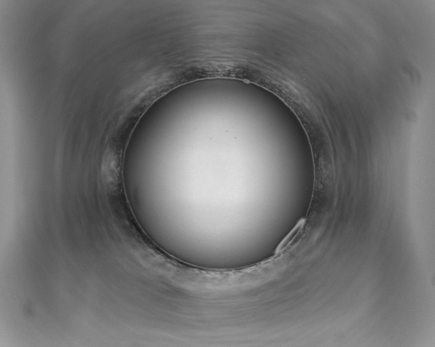 X0000113180037200909041352