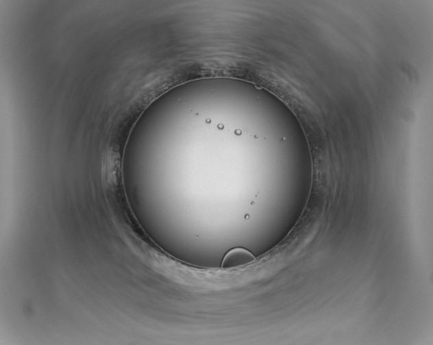X0000113180038200909041352