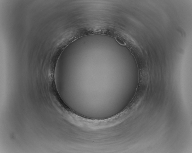 X0000113180039200909041352