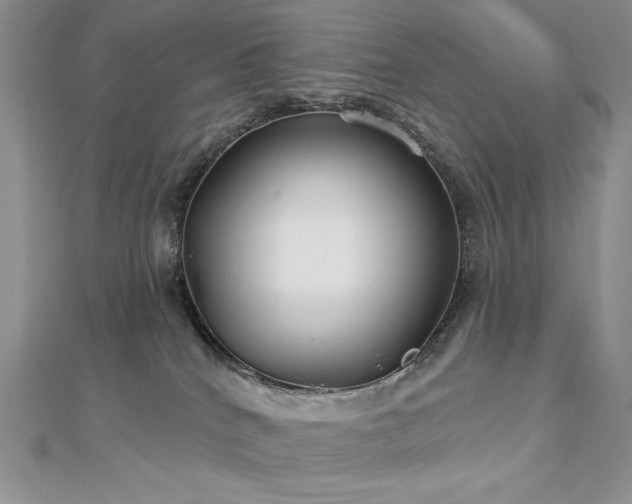 X0000113180040200909041352