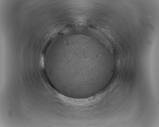 X0000113180042200909041352