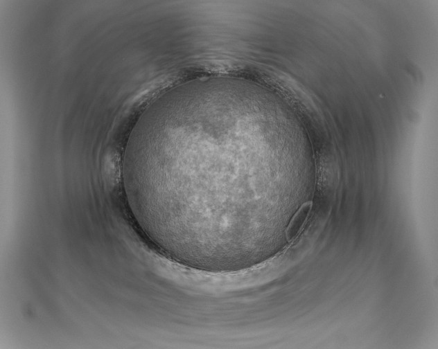 X0000113180043200909041352