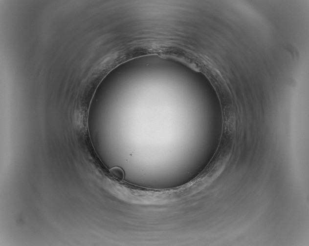X0000113180044200909041352