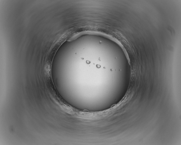 X0000113180045200909041352