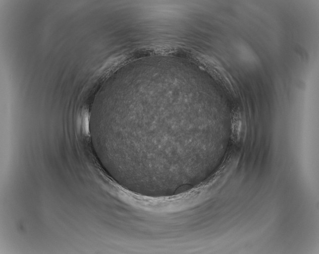 X0000113180046200909041352
