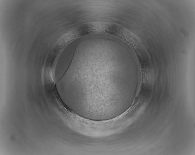 X0000113180047200909041352