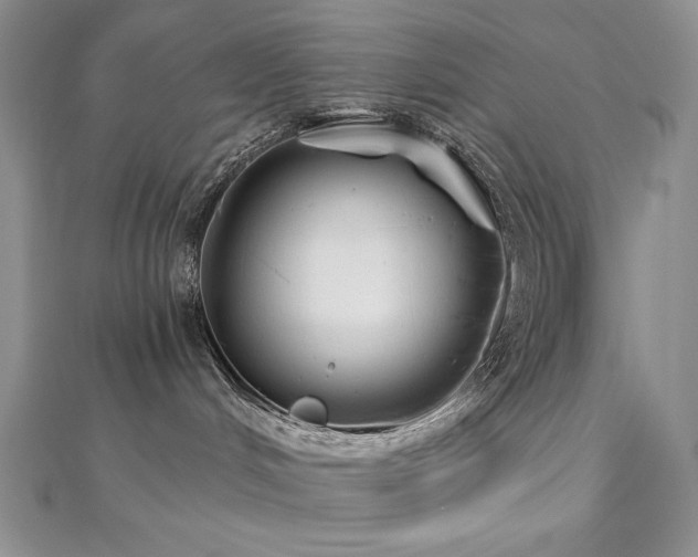 X0000113180048200909041352
