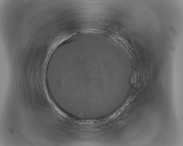 X0000113180049200909041352