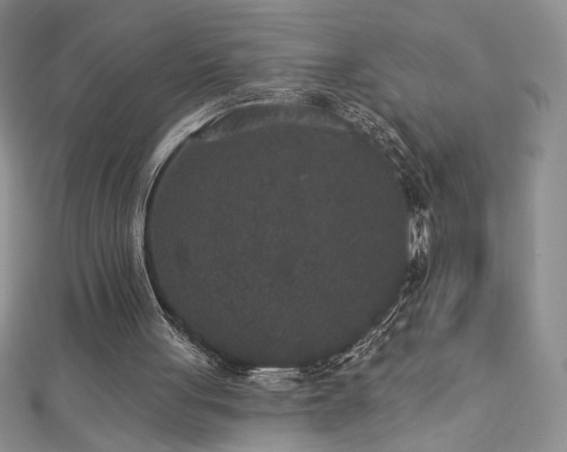 X0000113180051200909041352