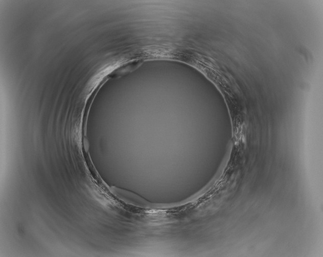 X0000113180052200909041352