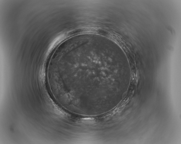 X0000113180053200909041352