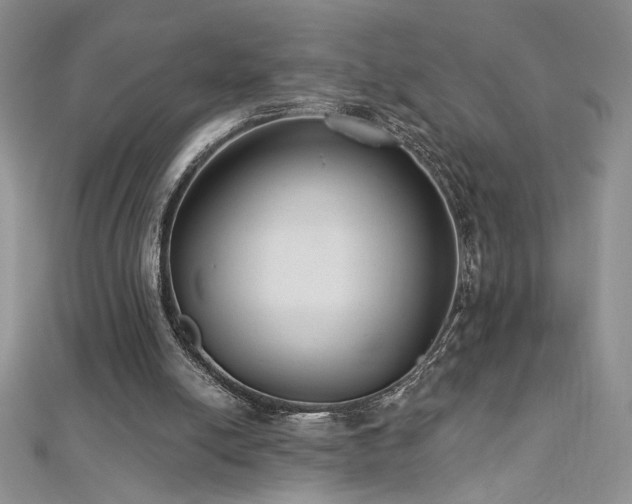 X0000113180054200909041352
