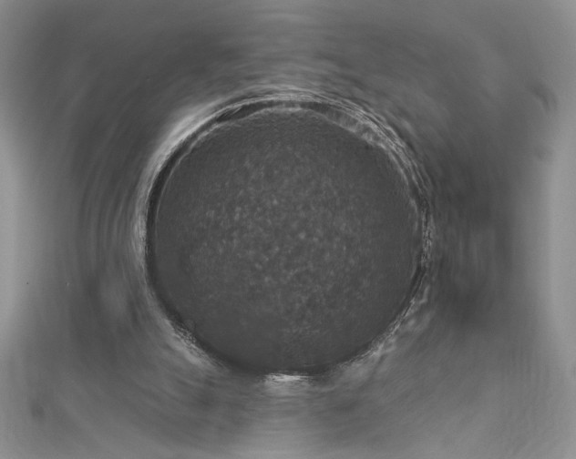 X0000113180055200909041352