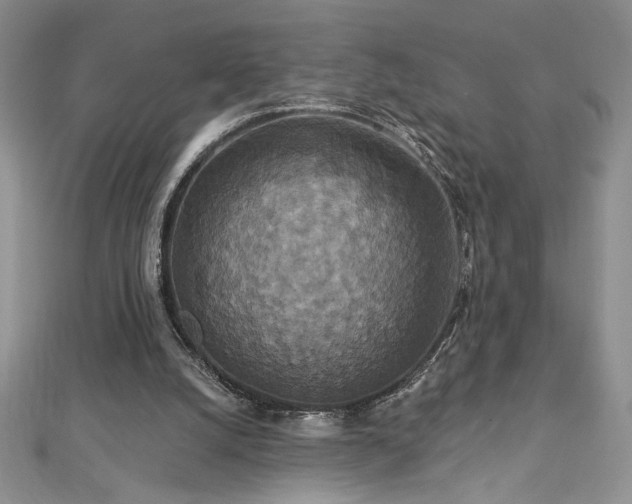X0000113180056200909041352