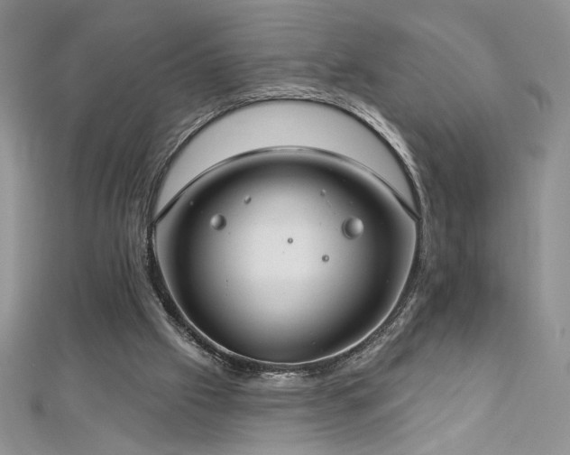 X0000113180057200909041352