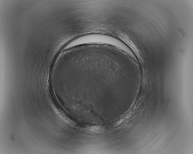 X0000113180058200909041352