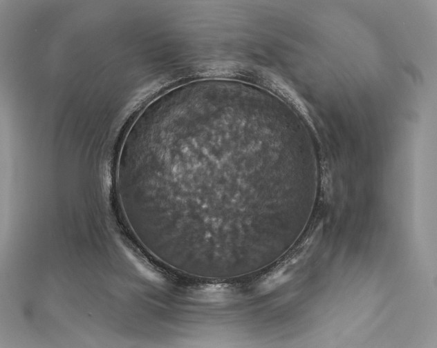 X0000113180059200909041352