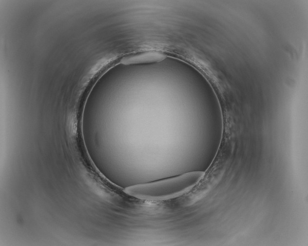 X0000113180060200909041352