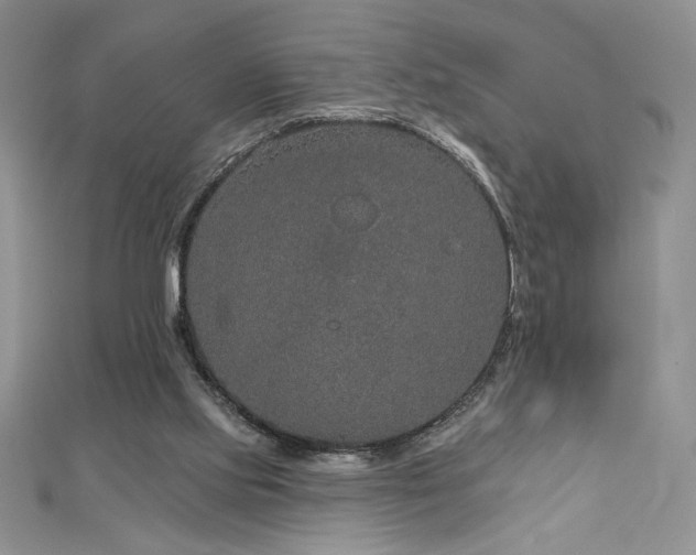 X0000113180061200909041352