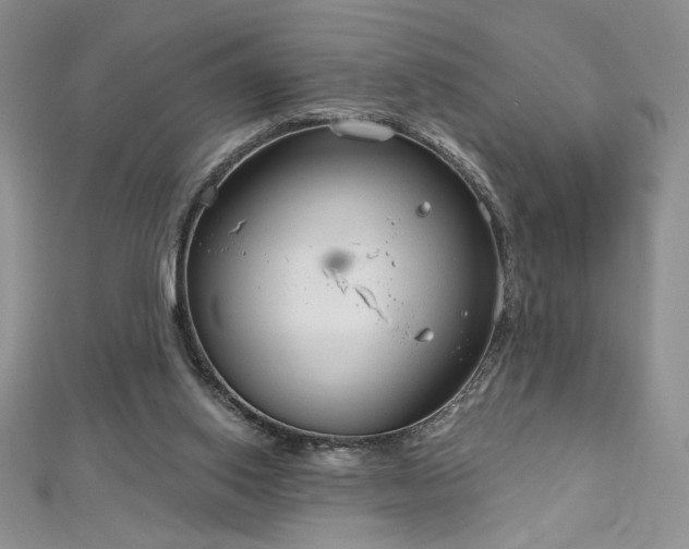 X0000113180062200909041352