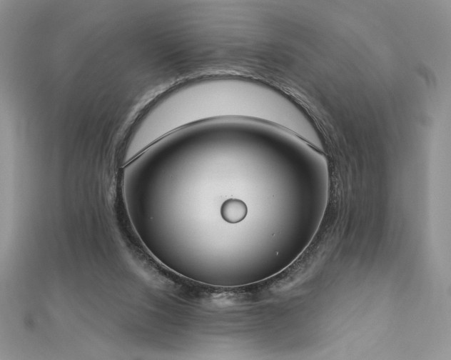 X0000113180064200909041352