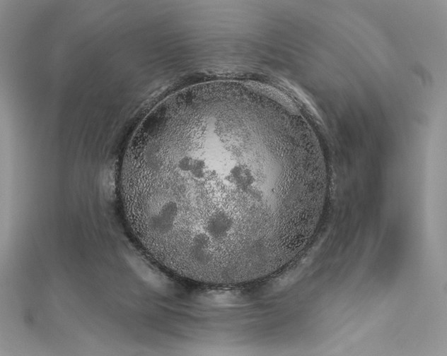 X0000113180065200909041352