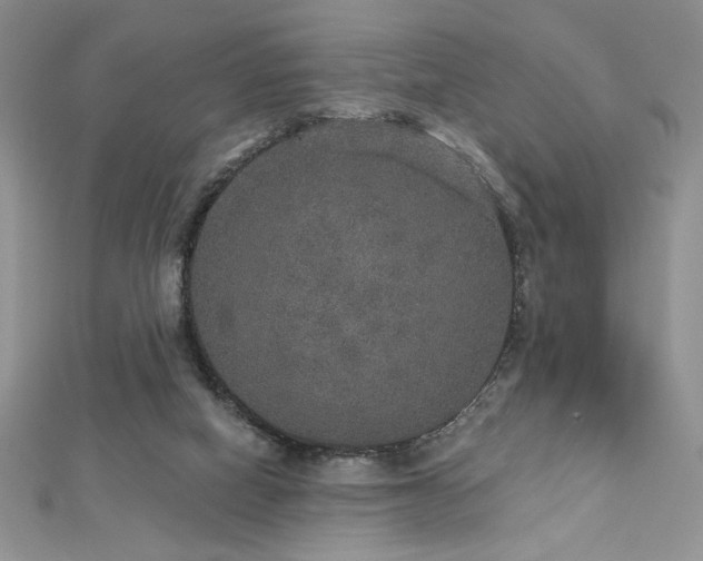 X0000113180066200909041352