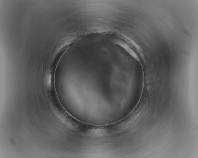 X0000113180067200909041352