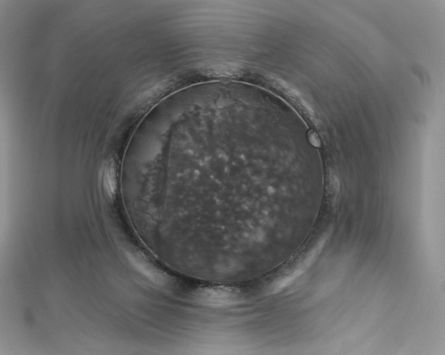 X0000113180069200909041352