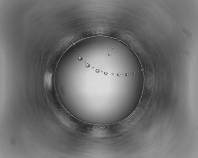 X0000113180070200909041352