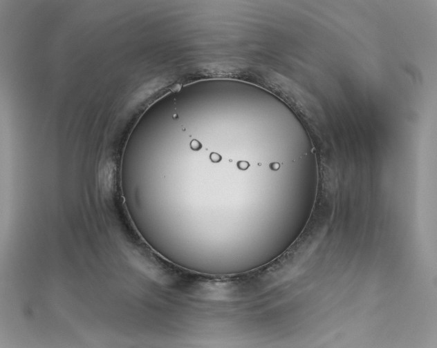 X0000113180071200909041352