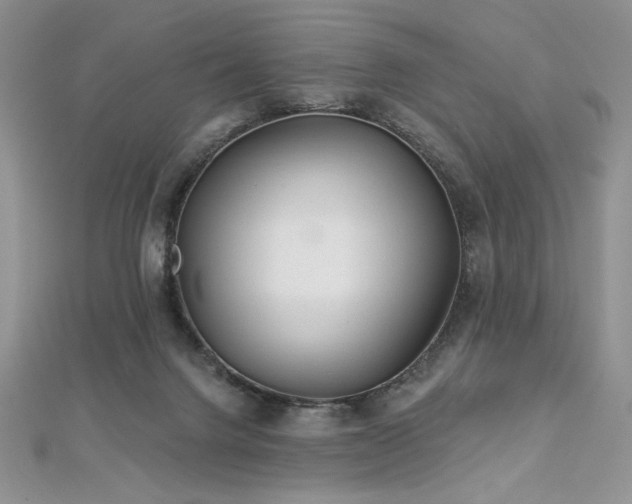 X0000113180072200909041352