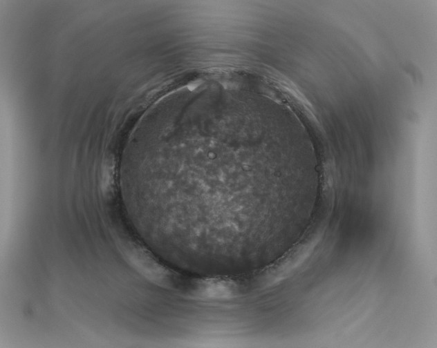 X0000113180073200909041352
