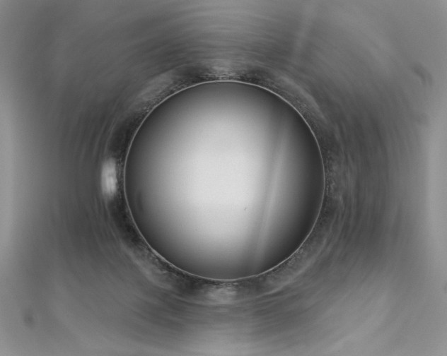 X0000113180075200909041352