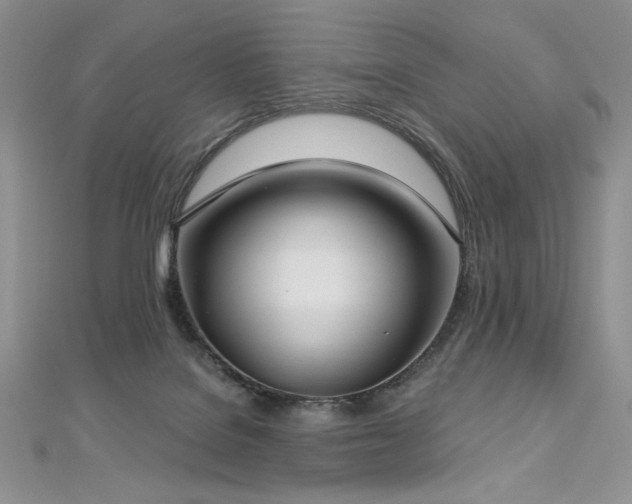 X0000113180076200909041352