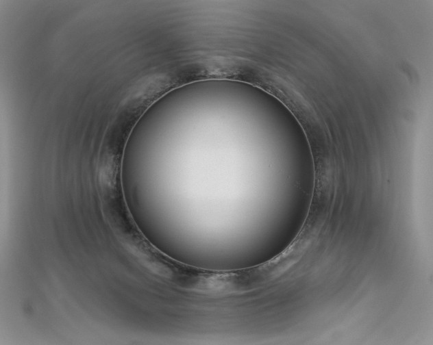 X0000113180078200909041352
