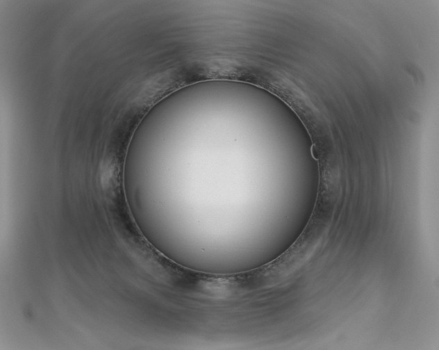 X0000113180079200909041352